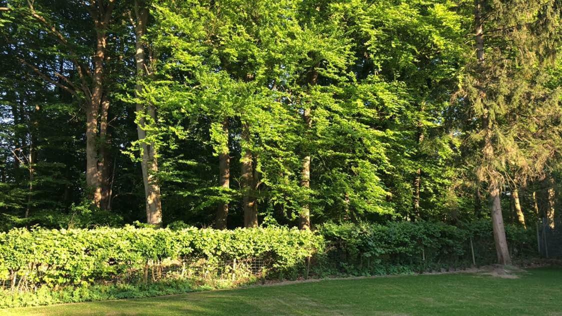 Ferienhaus Baek-Ratzeburg Bak Buitenkant foto